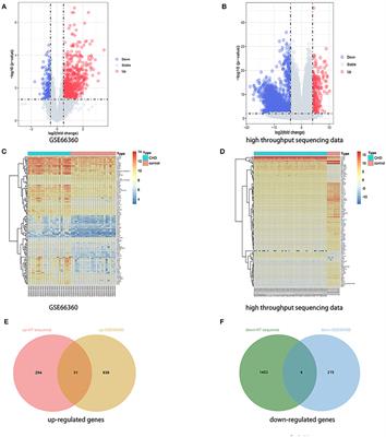 Potential of immune-related genes as promising biomarkers for premature coronary heart disease through high throughput sequencing and integrated bioinformatics analysis